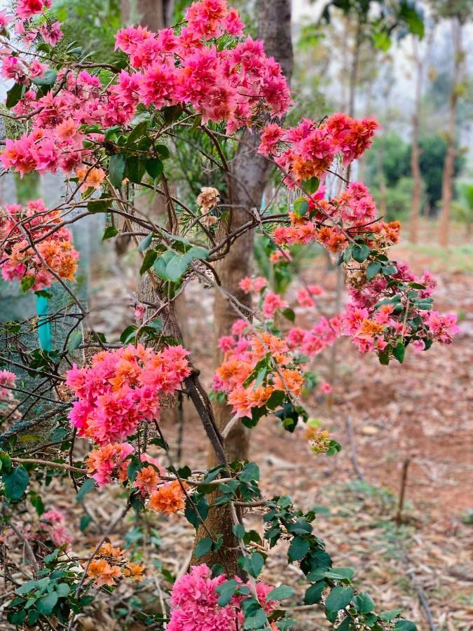 Eco Farm * Bangalore