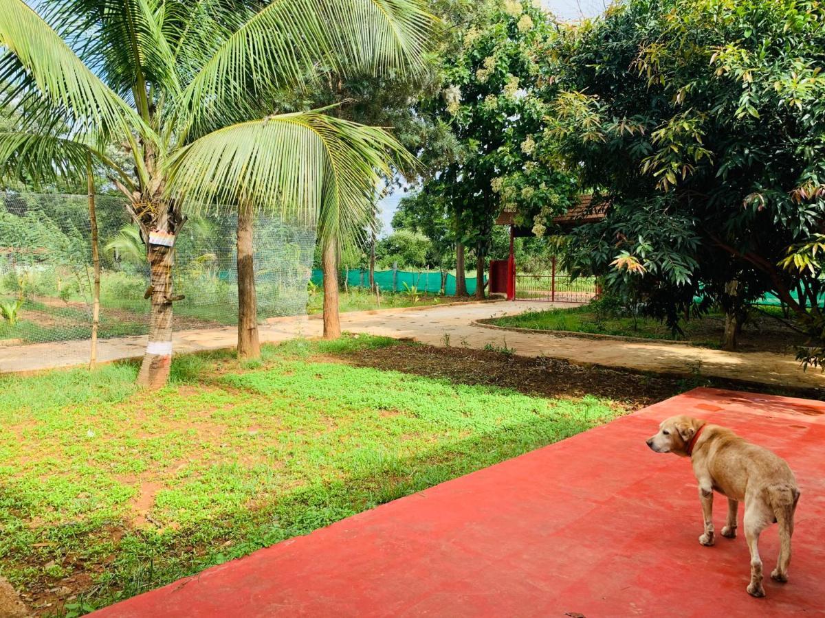 Eco Farm Farm stay Bangalore