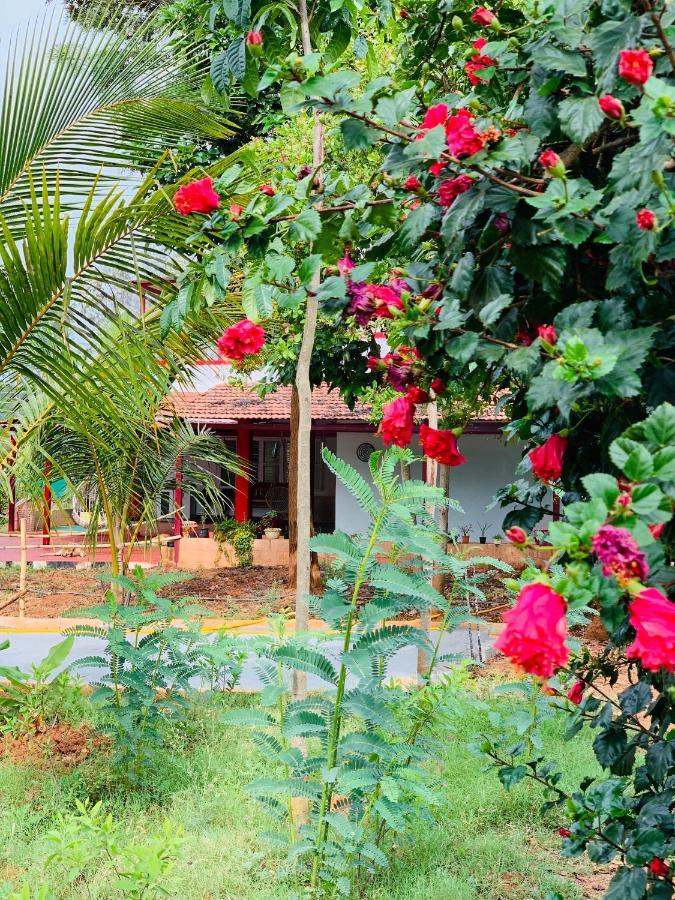 Eco Farm Farm stay *