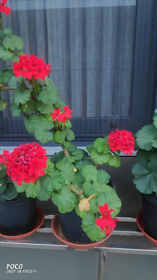 Rvr Abode -private Homestay Bangalore