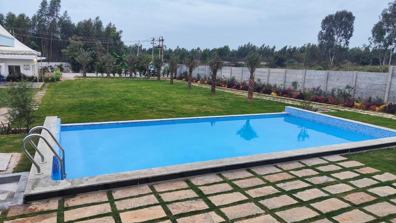 Palm Bliss Holiday home