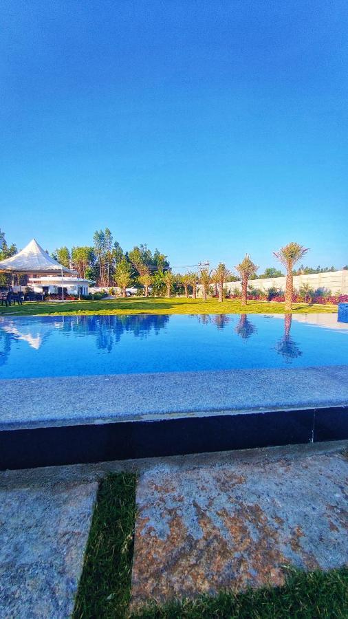 Holiday home Palm Bliss