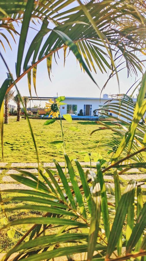 Palm Bliss *