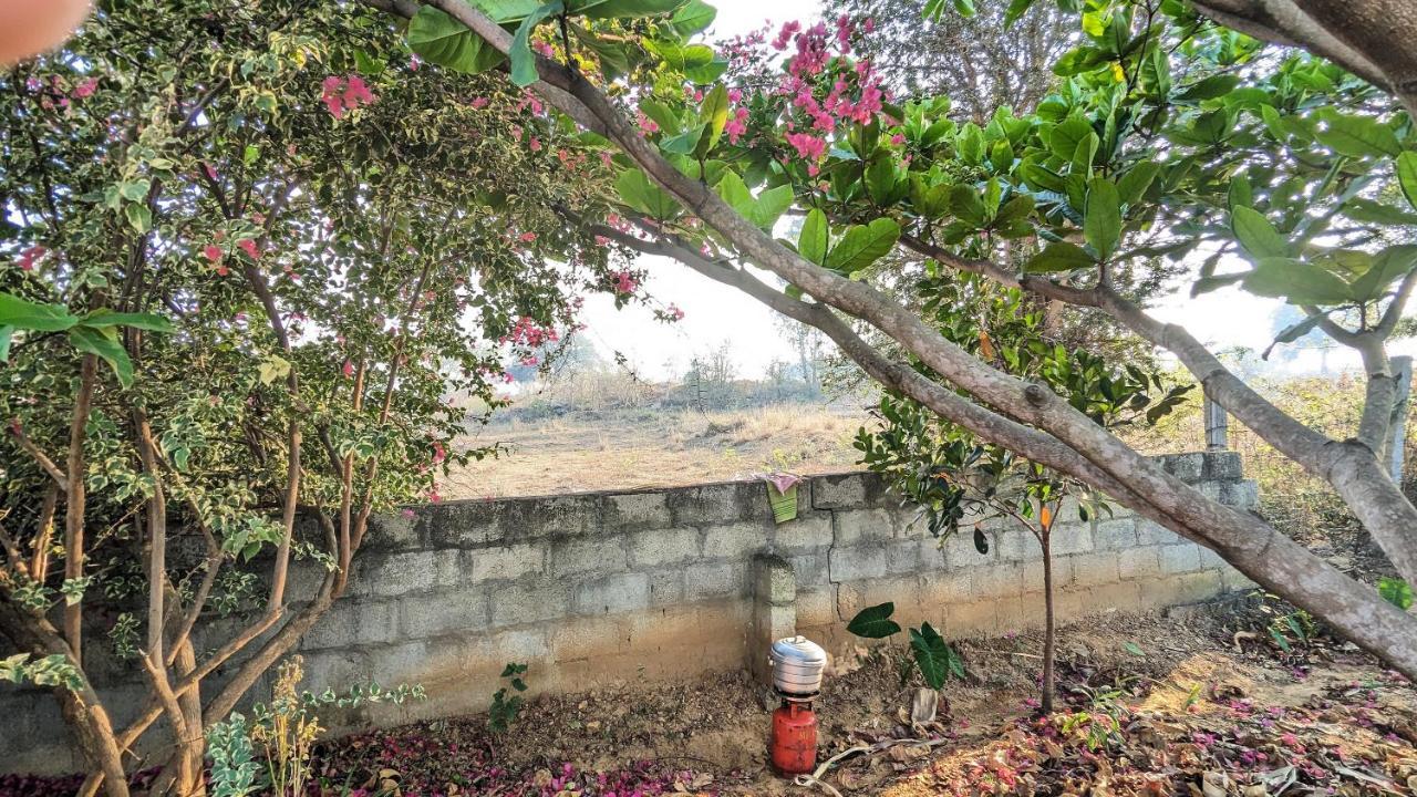 Farm stay Sattva *
