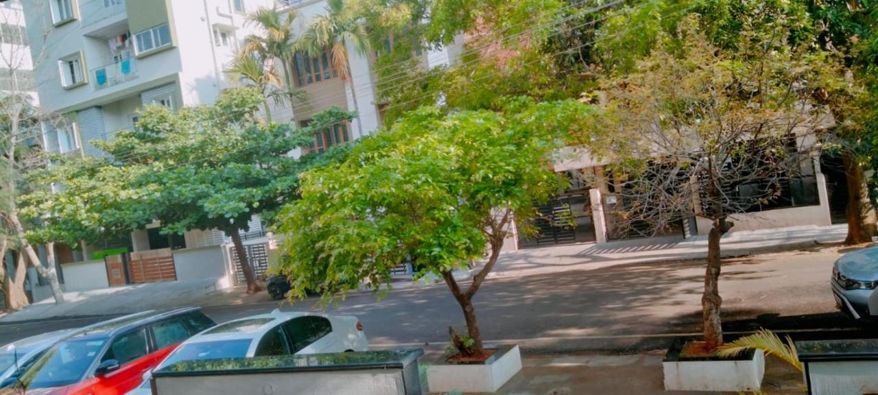 Serene International Hotel 3*