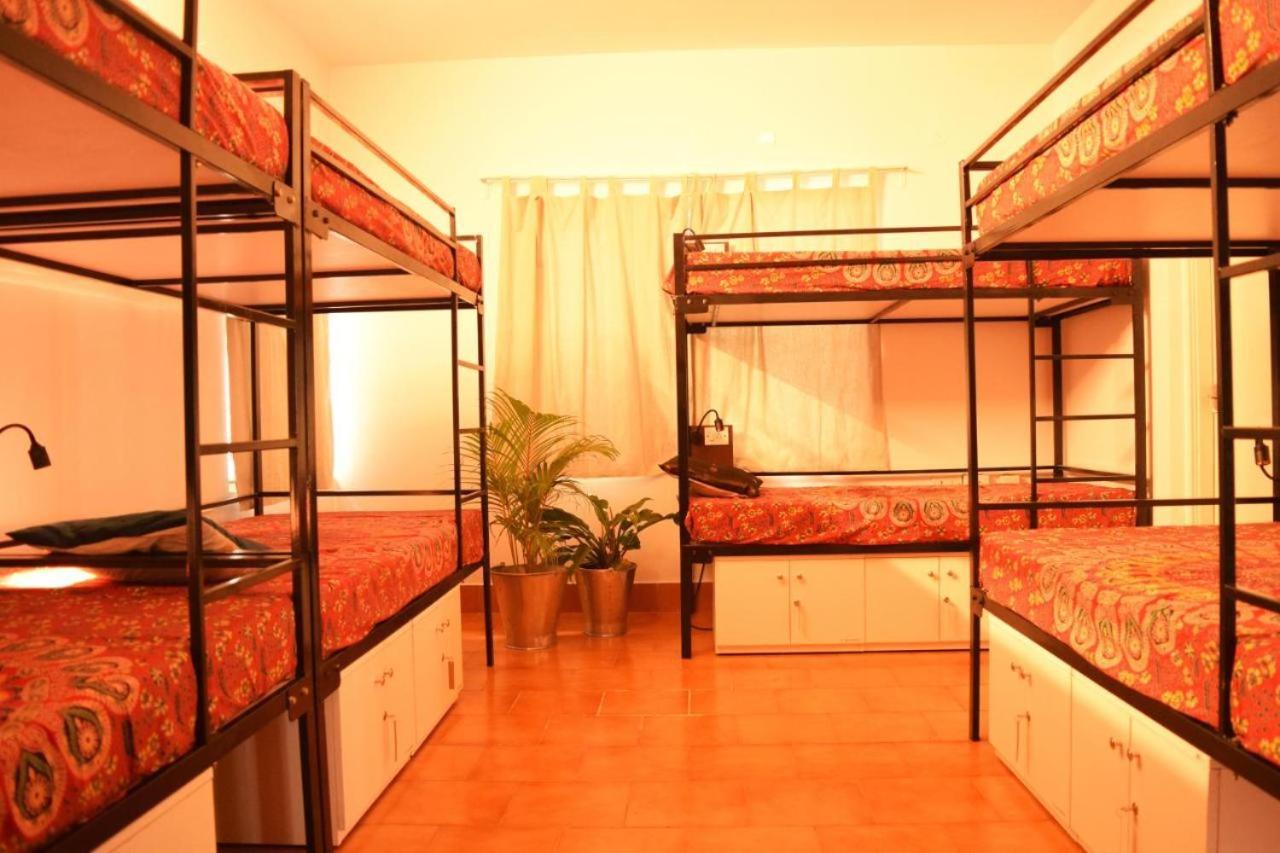 Be Animal Albergue Bangalore