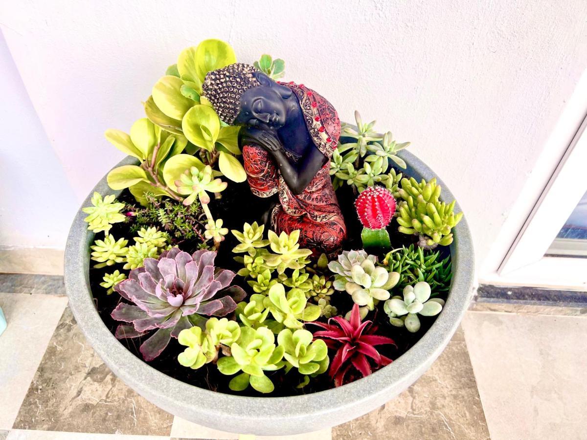 Greeny, Private Pent House Apartment Bangalore