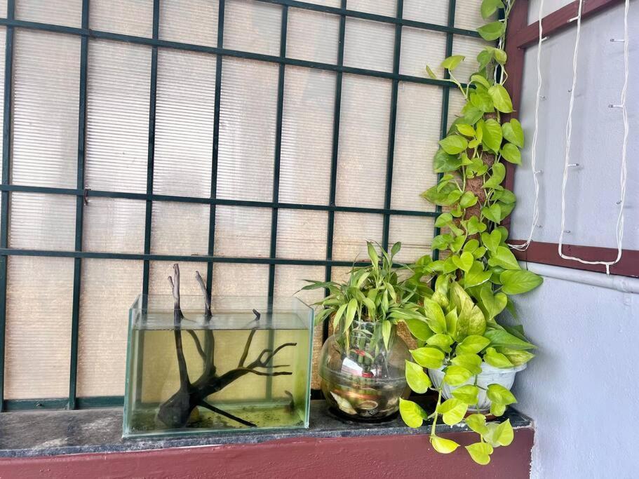 Greeny, Private Pent House Apartment Bangalore