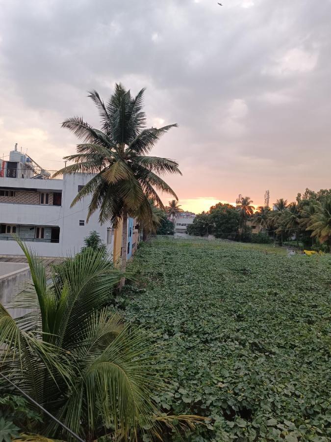 Citrus Holiday home *