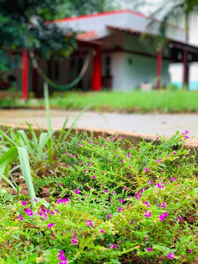 Eco Farm *
