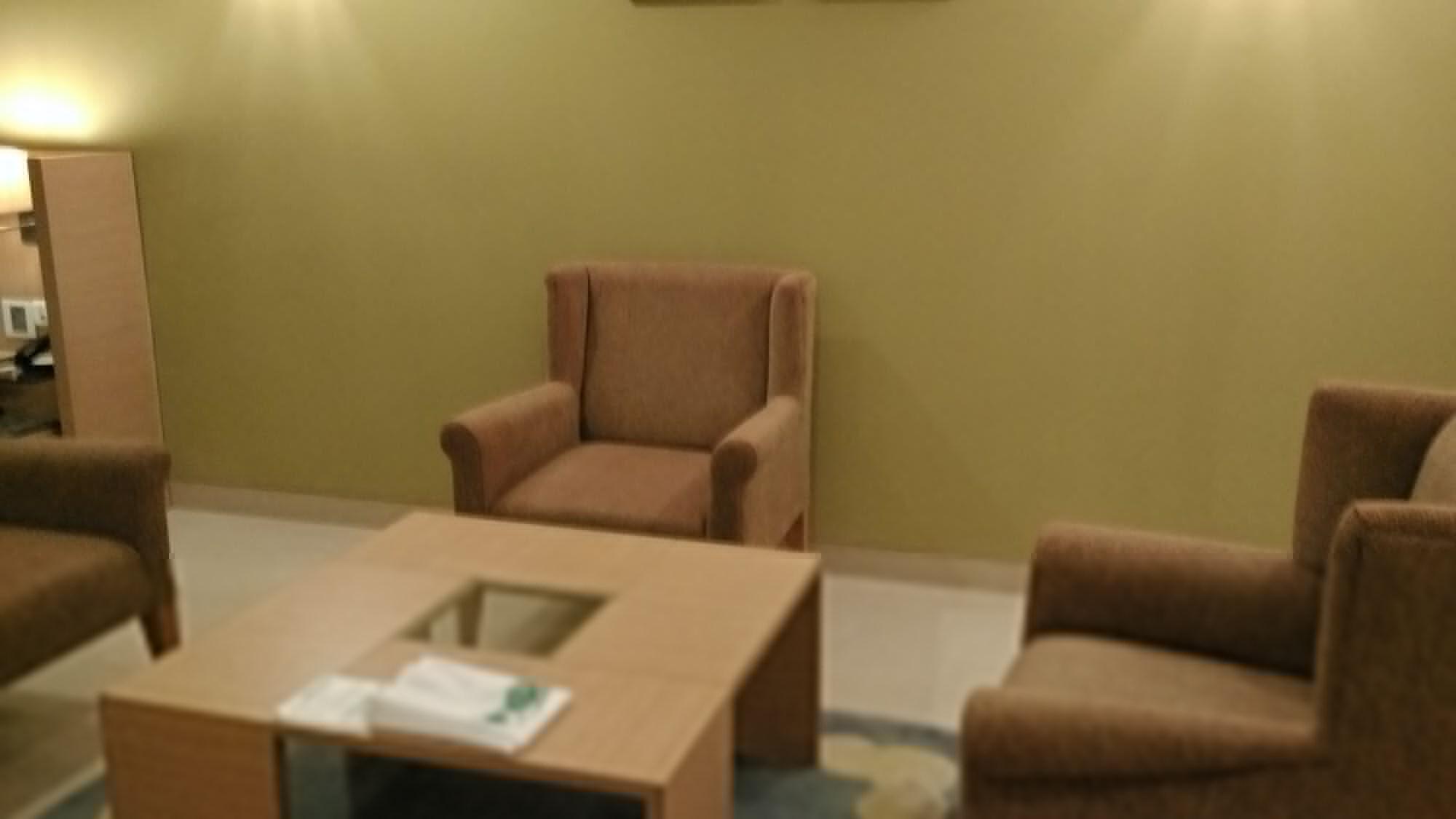 Hotel Radha Regent Electronic 4*