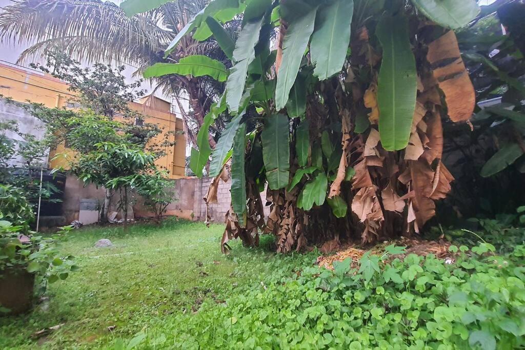 Vintage Vihara: The Heritage Bungalow *