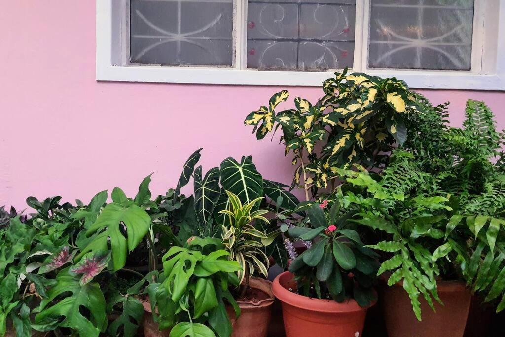Villa Vintage Vihara: The Heritage Bungalow Bangalore