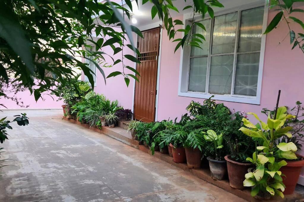 Vintage Vihara: The Heritage Bungalow
