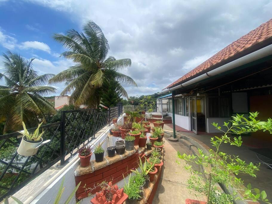 The Avatar Life Penthouse Chalet Bangalore
