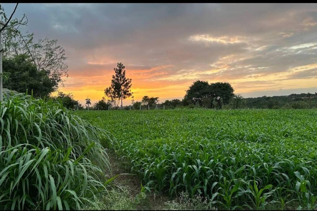 Farm stay Sattva Bangalore
