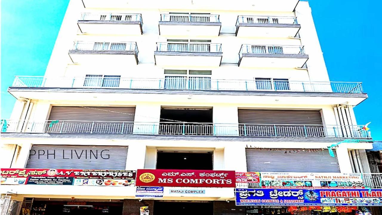 Pph Living Ms Comfort