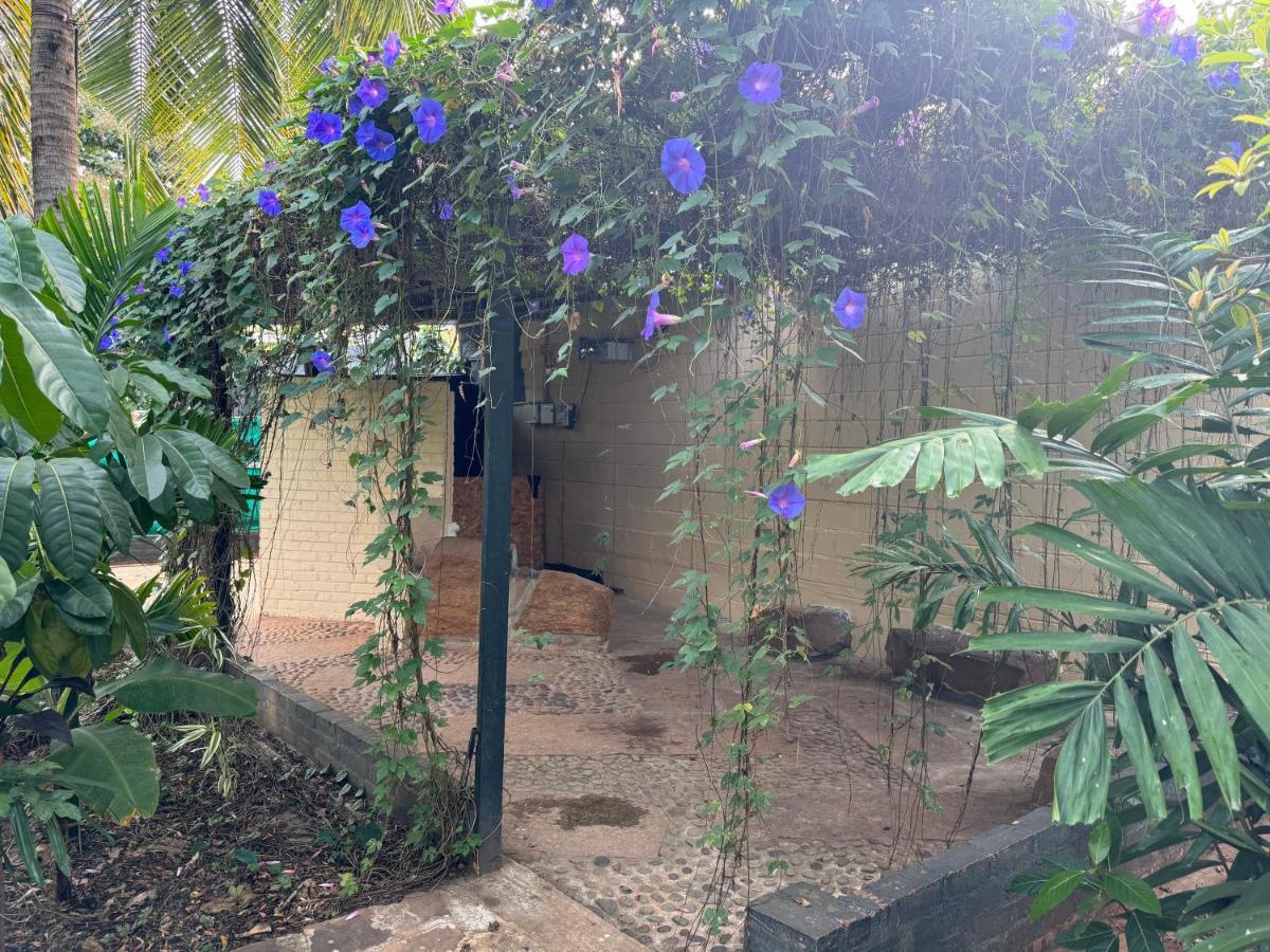 Chikoo Farm *