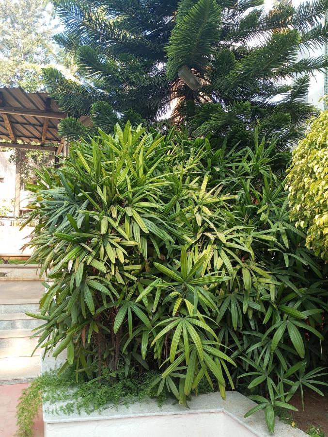 Amazistay Offers Posh For Two With Private Balcony & Bathroom & Tv, Traveller, With Shared Jacuzzi Paid Access Near Brigade Senate Homestay Bangalore