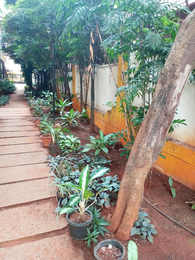 Homestay Amazistay Offers Posh For Two With Private Balcony & Bathroom & Tv, Traveller, With Shared Jacuzzi Paid Access Near Brigade Senate Bangalore