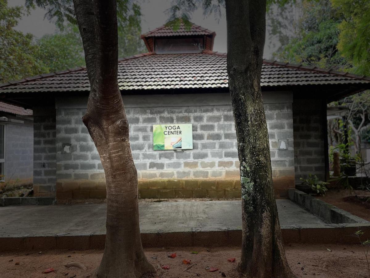 Hlc Ayurveda And Nature Cure