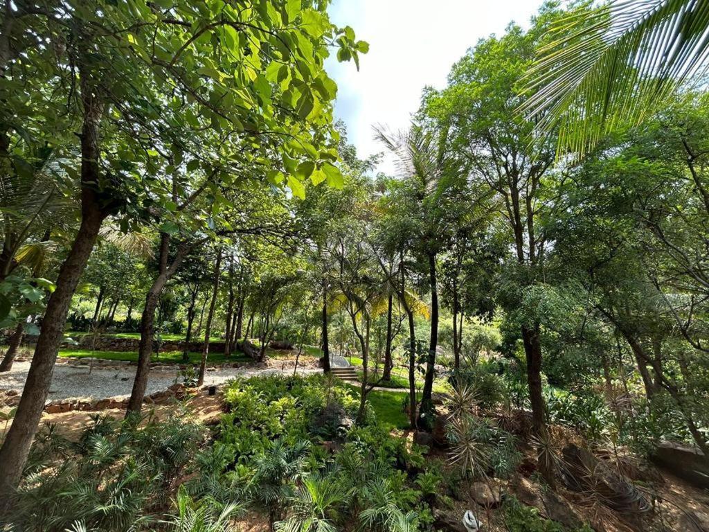 Soul Nest-pyramid Valley International Hotel Bangalore