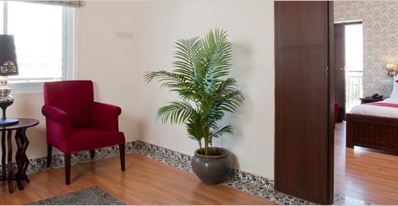 Orchid - A Boutique Off Residency Road Bangalore