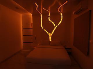 Hotel Temple Tree 3*