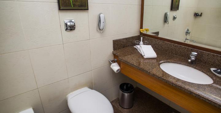 Palm Meadows 5* Bangalore