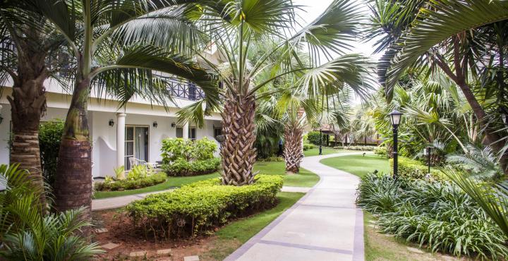 Resort Palm Meadows