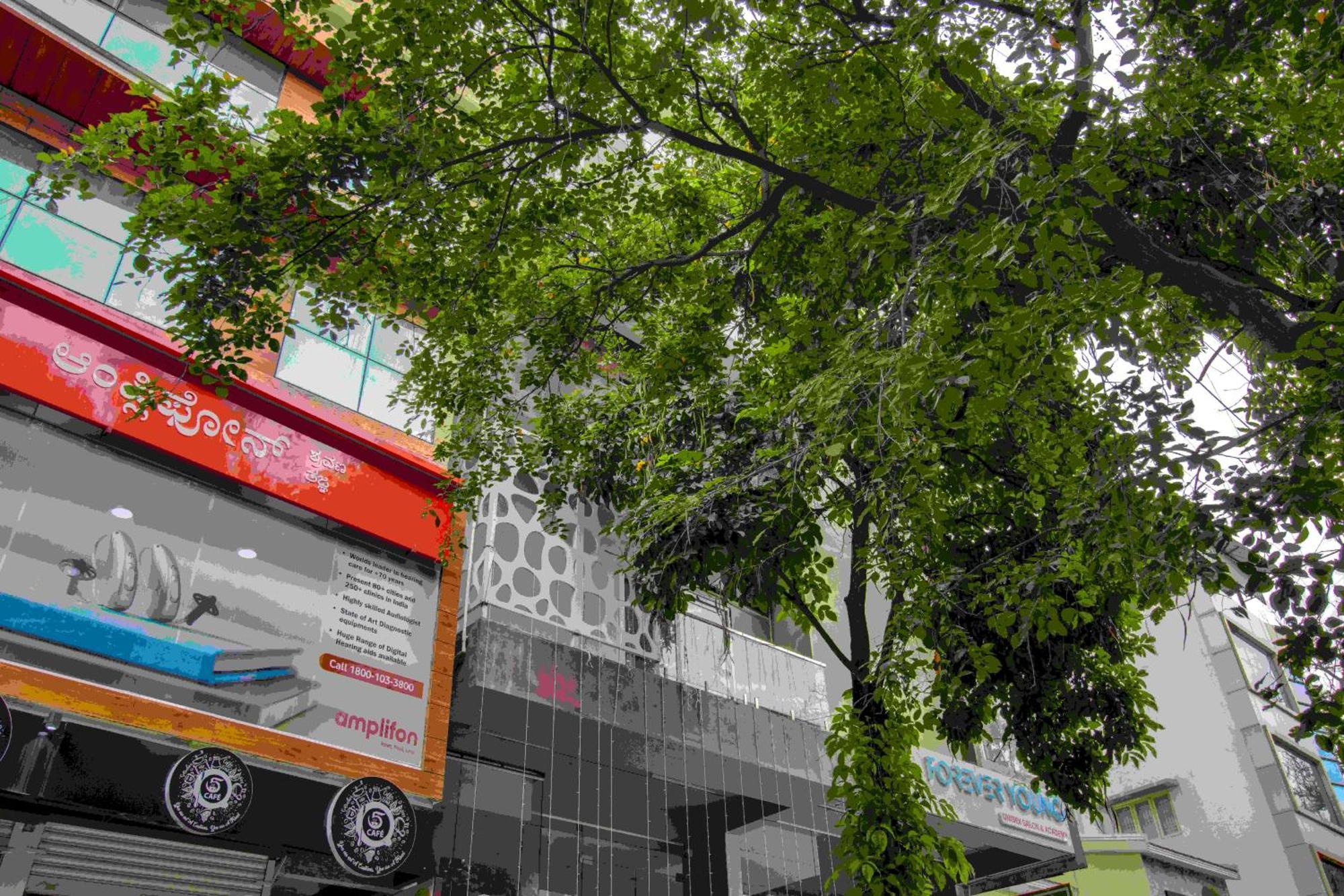 Cocoon - Kalyan Nagar Hotel