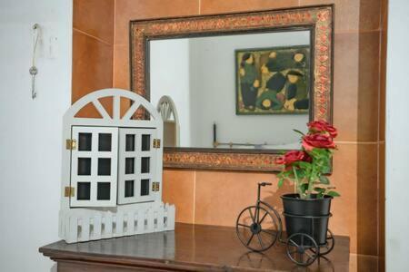 Eden Garden By Jadecaps Nr Mg Road Garden *