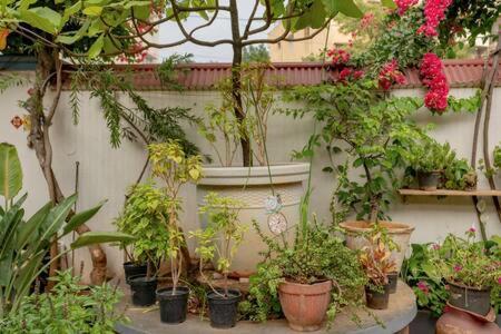 Eden Garden By Jadecaps Nr Mg Road Garden