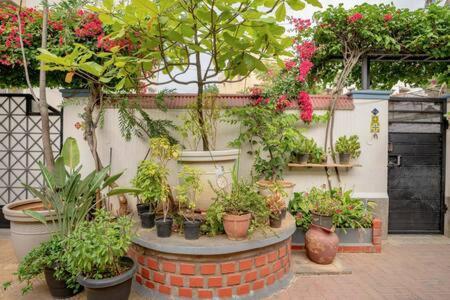 Eden Garden By Jadecaps Nr Mg Road Garden Holiday home *