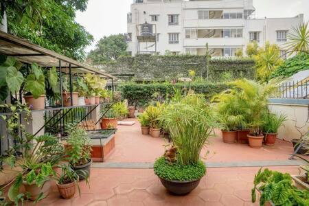 Holiday home Eden Garden By Jadecaps Nr Mg Road Garden Bangalore