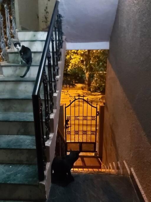 By The Park - Koramangala Apartment