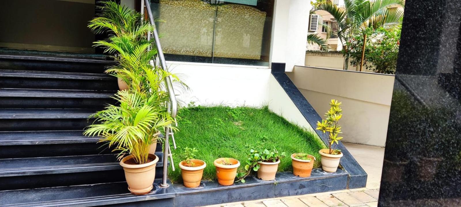 Hotel Serene International 3*
