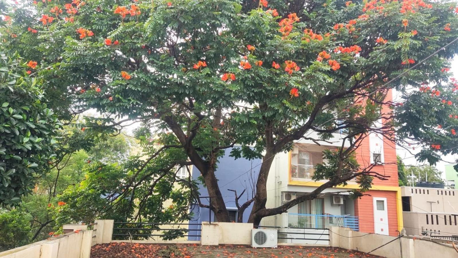 Elhanan Transit * Bangalore