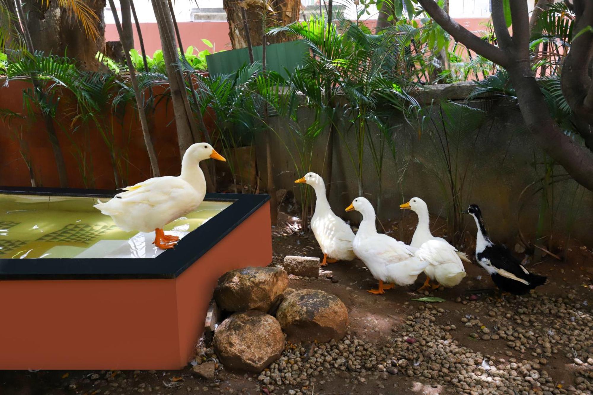 Lemon Tree Suites, Whitefield, Bengaluru Bangalore