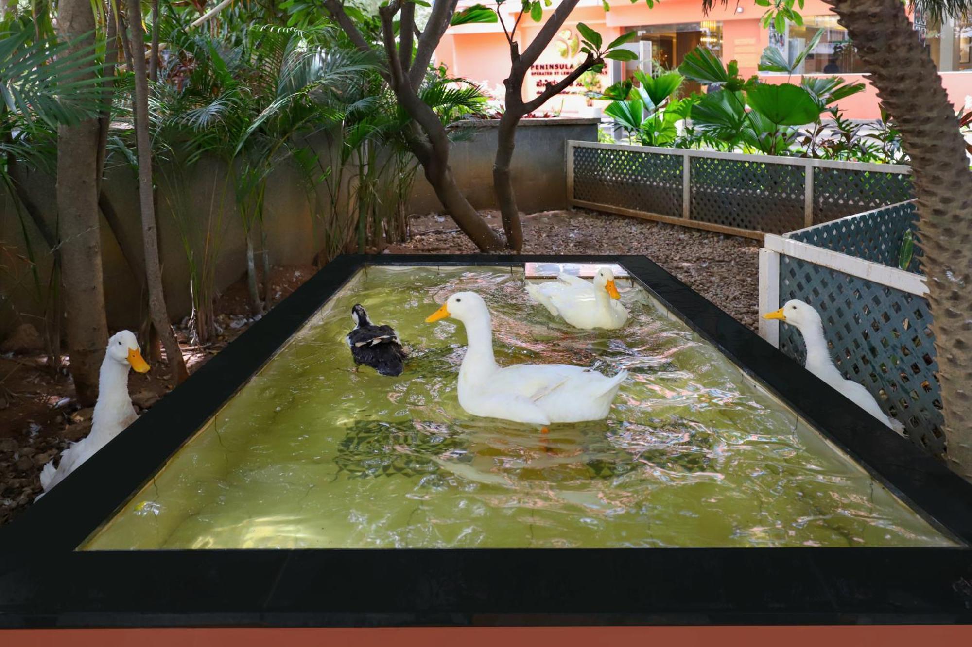 Lemon Tree Suites, Whitefield, Bengaluru