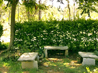 Green Valley Resorts Bangalore