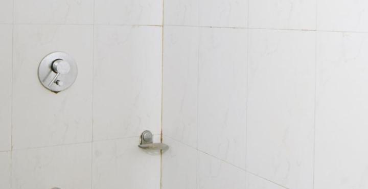 Oyo 15781 Shree Adiga Residency 3*