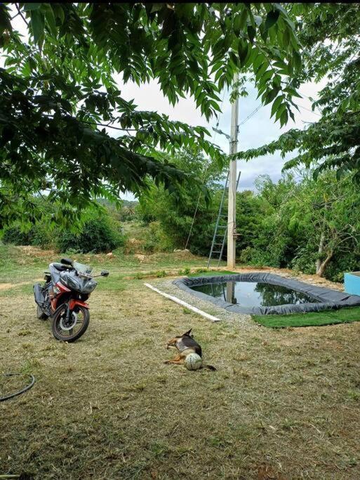 Farm stay Sattva Bangalore