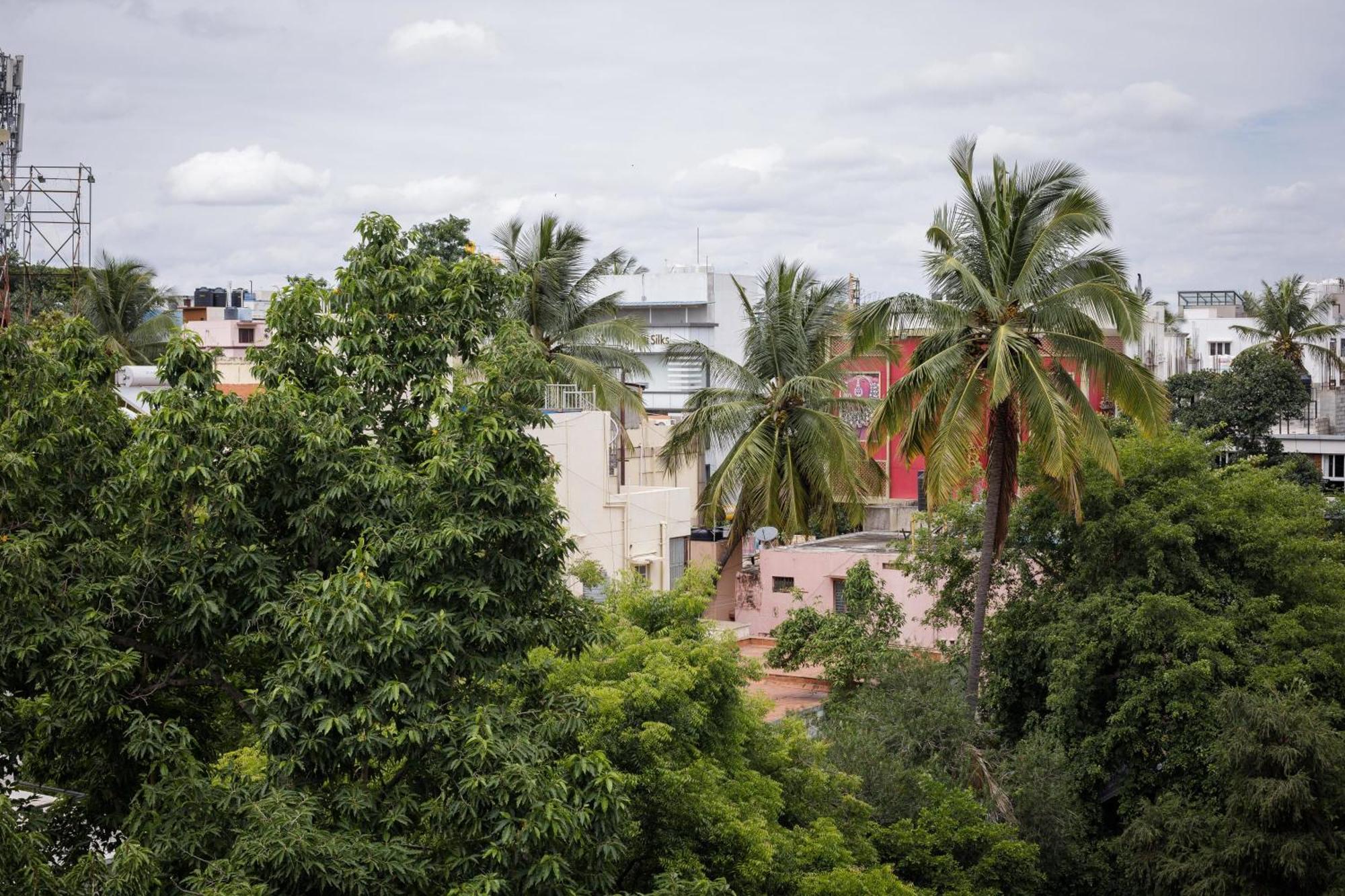 Apartment Glass Penthouse In Jayanagar 4th Block 15days Min