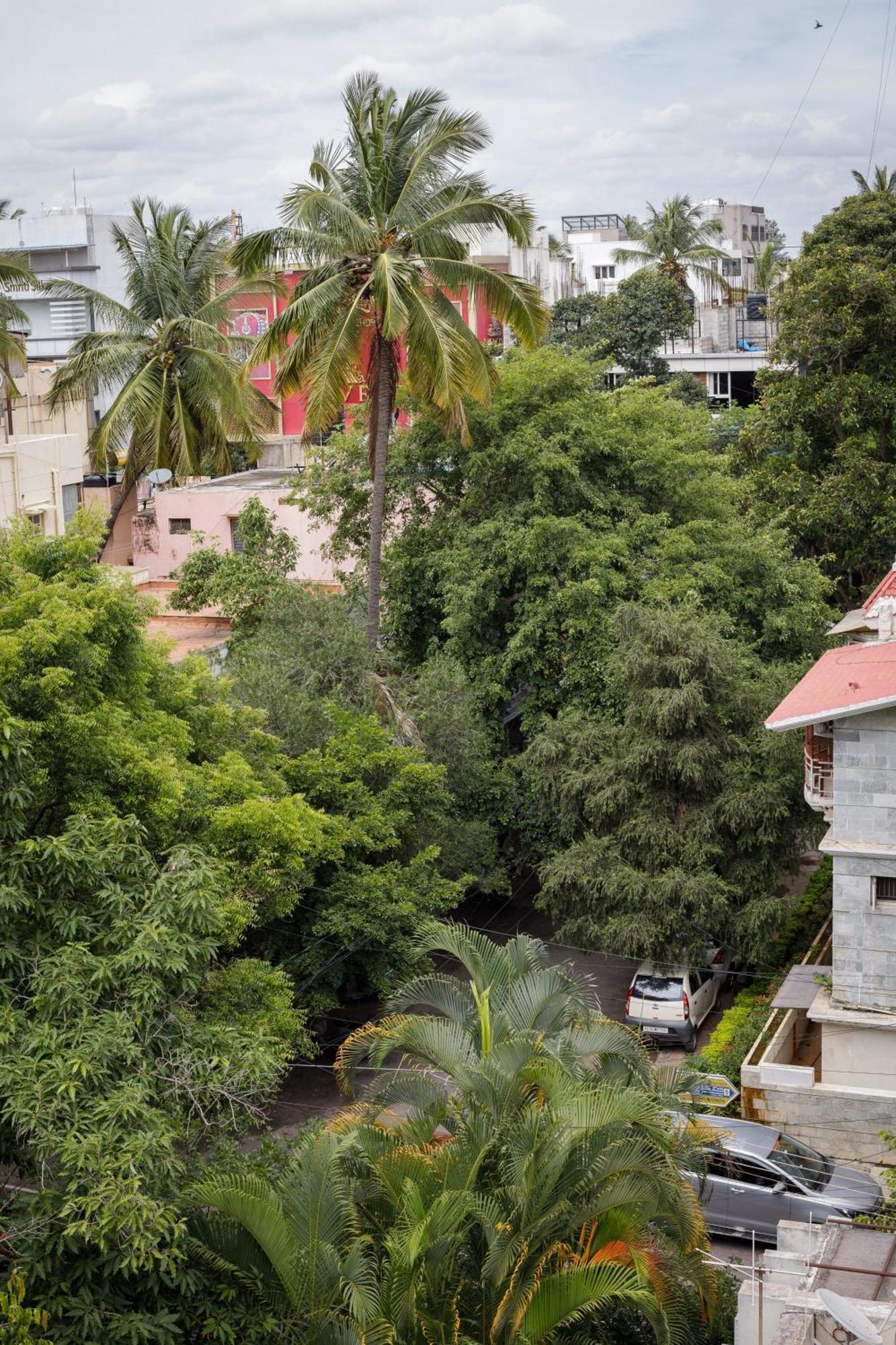 Glass Penthouse In Jayanagar 4th Block 15days Min *