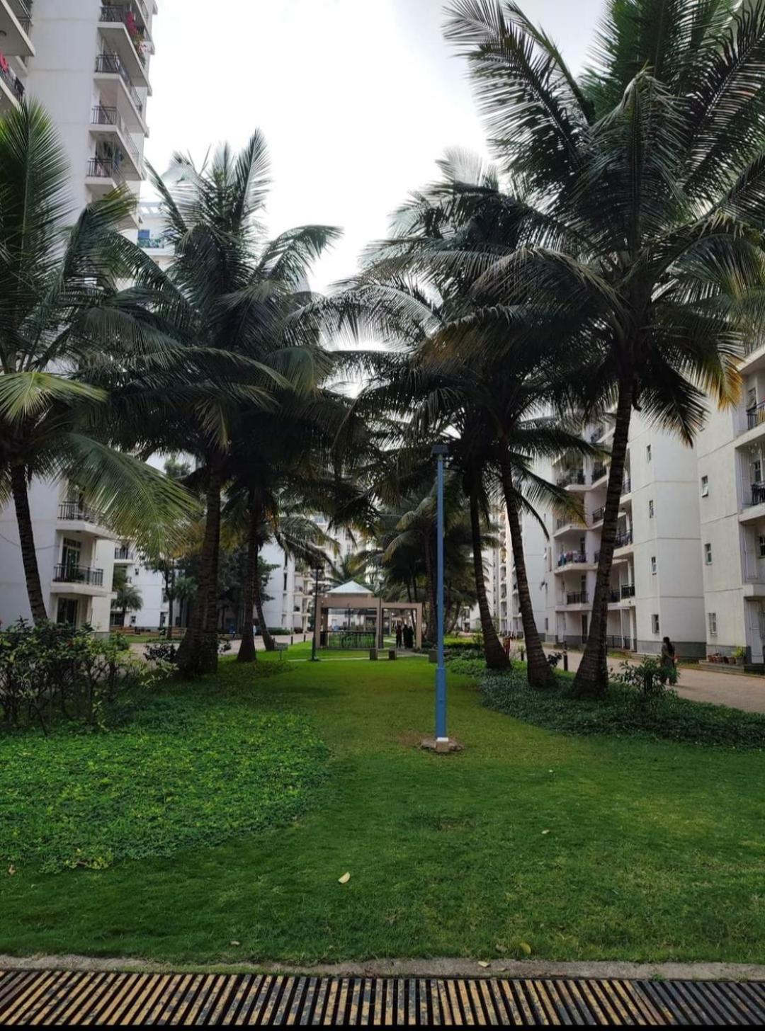 Adi Hospitality And Tours Private Limited *
