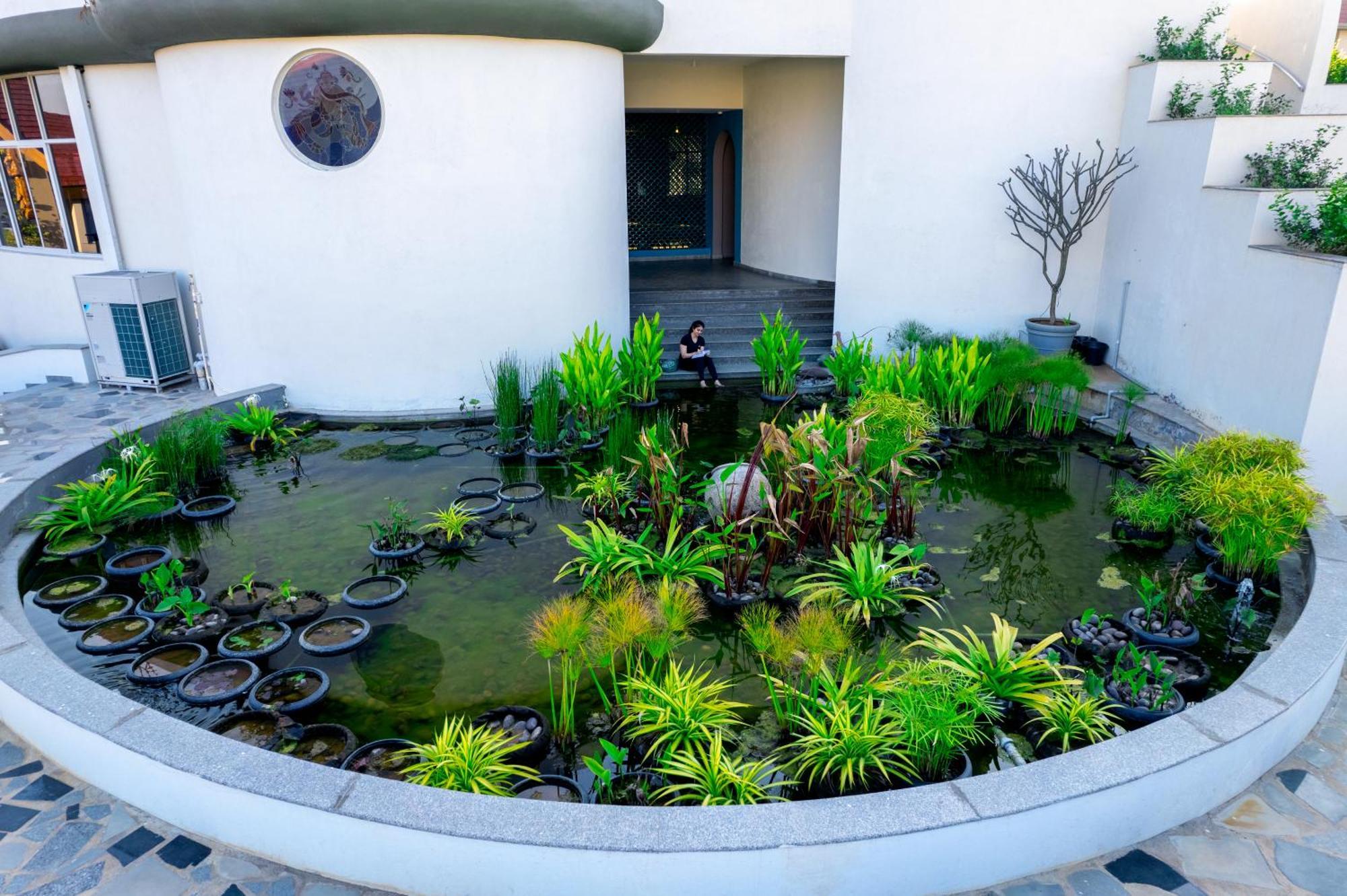 Kshemavana The Wellness Retreat *