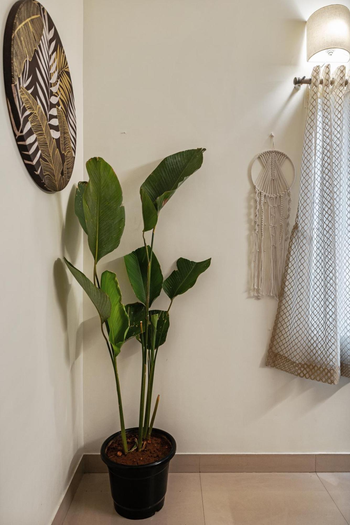 House Of 2 Tress Penthouse * Bangalore