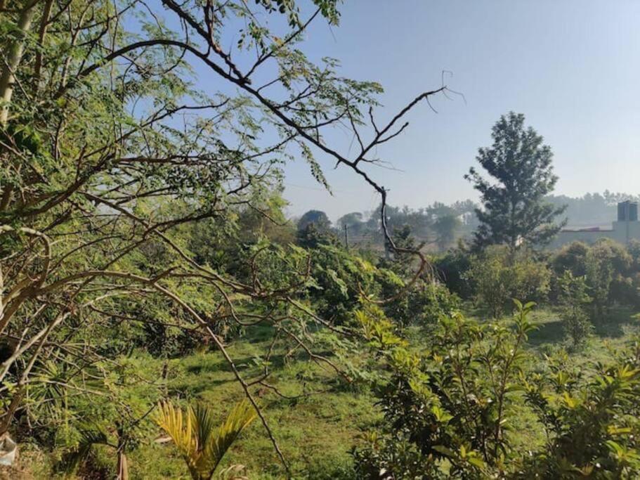Sattva Farm stay