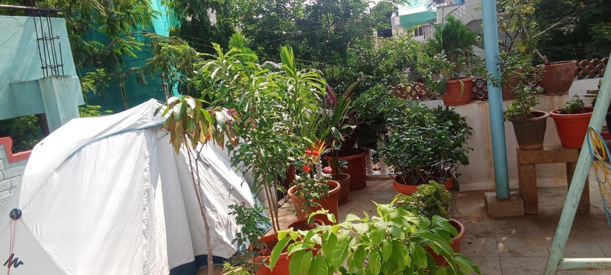 The Cave Homestay *